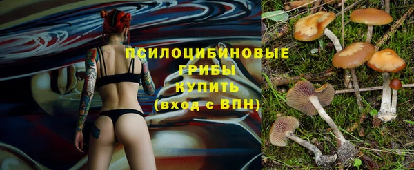 спайс Богородск