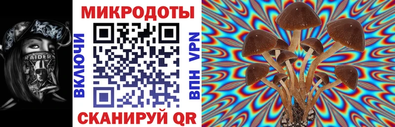 Галлюциногенные грибы MAGIC MUSHROOMS  Среднеуральск 
